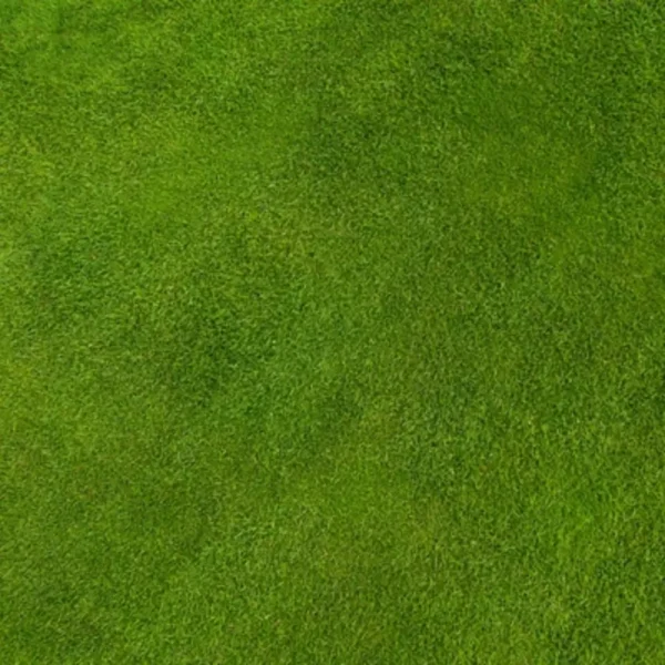Pasto Texturizado